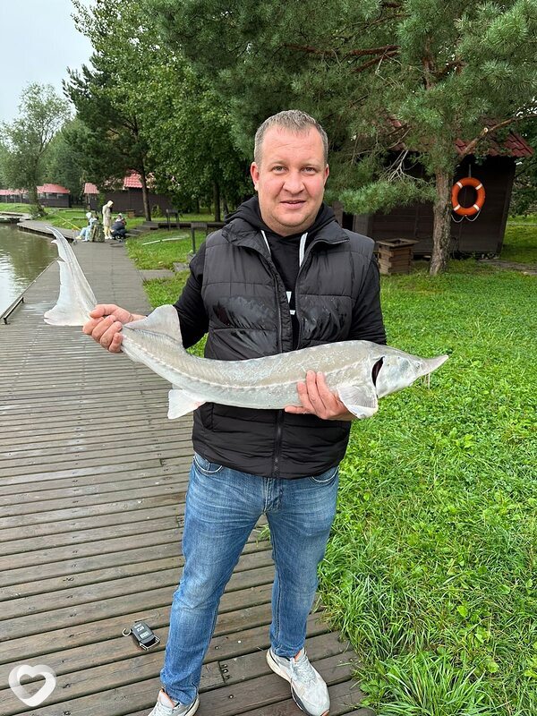 Дмитрий, 35, Домодедово — анкета №2850453