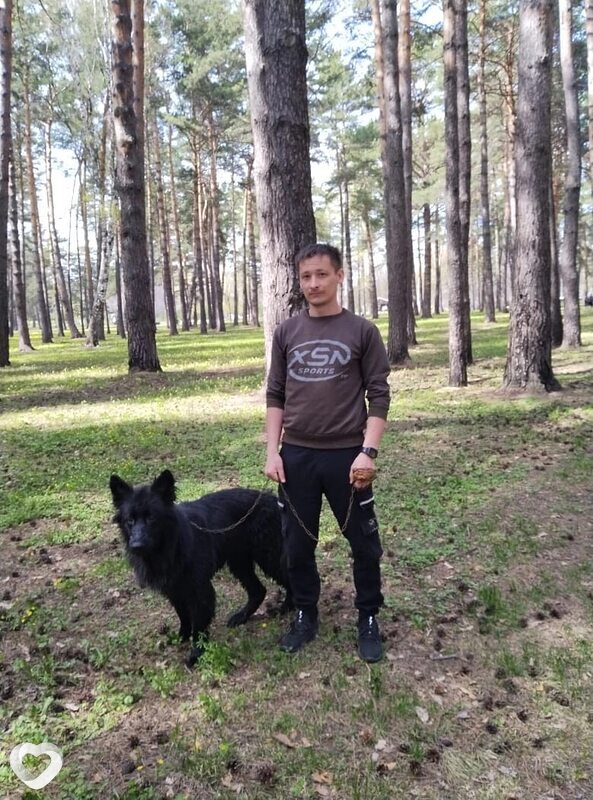 Владимир, 31, Прокопьевске — анкета №2853317