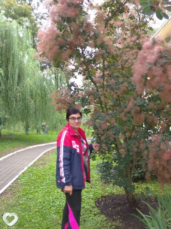 Татьяна, 56, Орёл — анкета №2854342