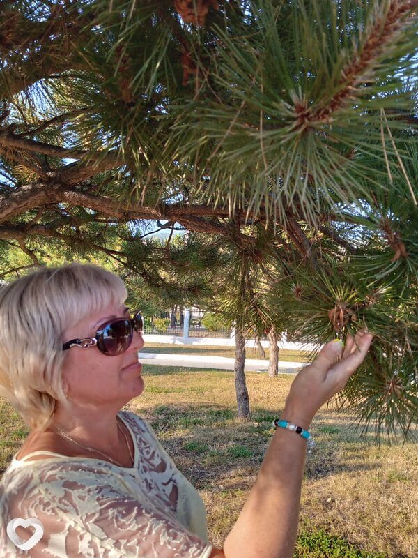 Светлана, 51, Оренбурге — анкета №2854659