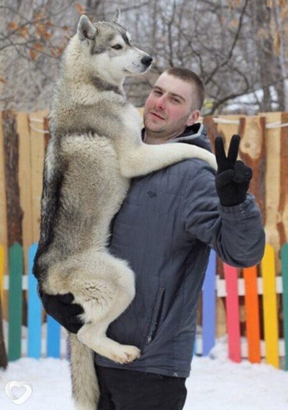 Дмитрий, 36, Оренбурге — анкета №2858710