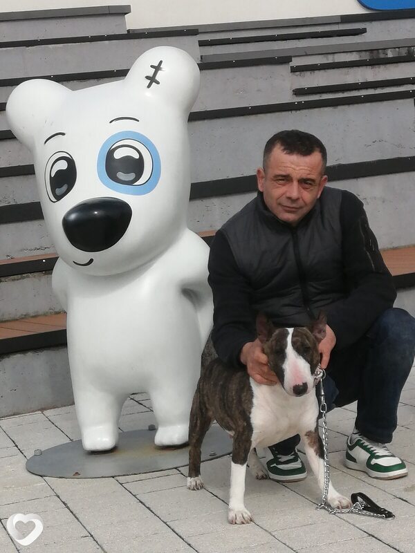 Арсо, 43, Адлер — анкета №2864310