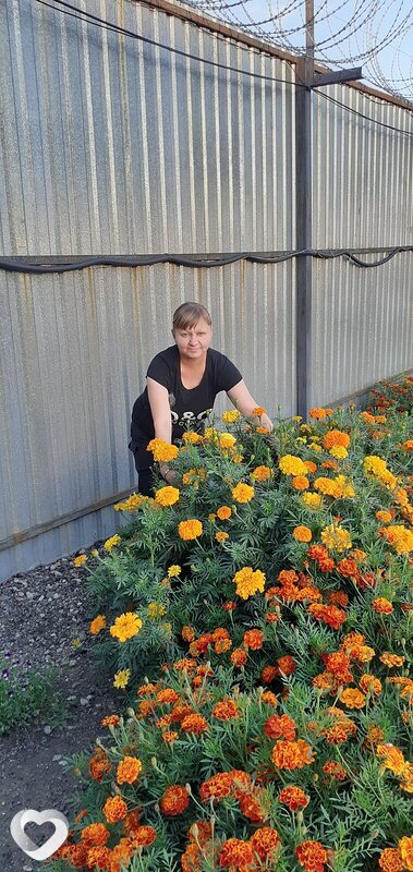 Елена, 40, Омске — анкета №2864619