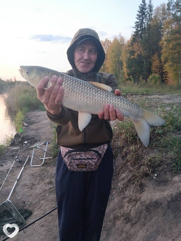 Борис, 47, Одинцове — анкета №2865886