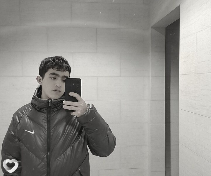 Шаха, Бердск