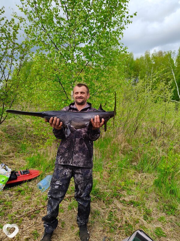 Александр, 43, Богородске — анкета №2872653