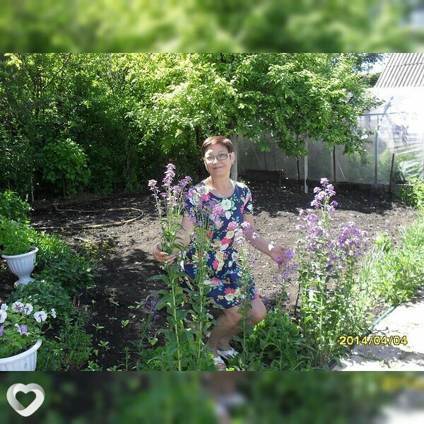 Елена, 56, Белебее — анкета №2873544