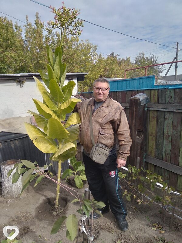 Сергей, 59, Стаханове — анкета №2880417