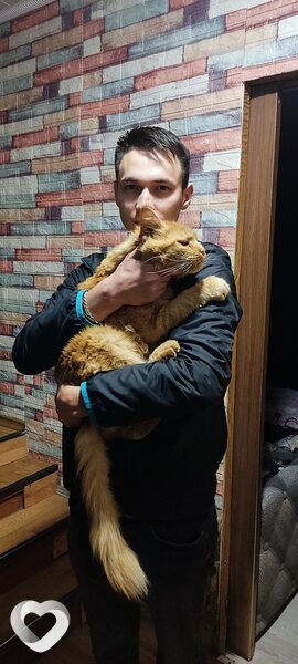 Leopold, 28, Нижнем Новгороде — анкета №2881559