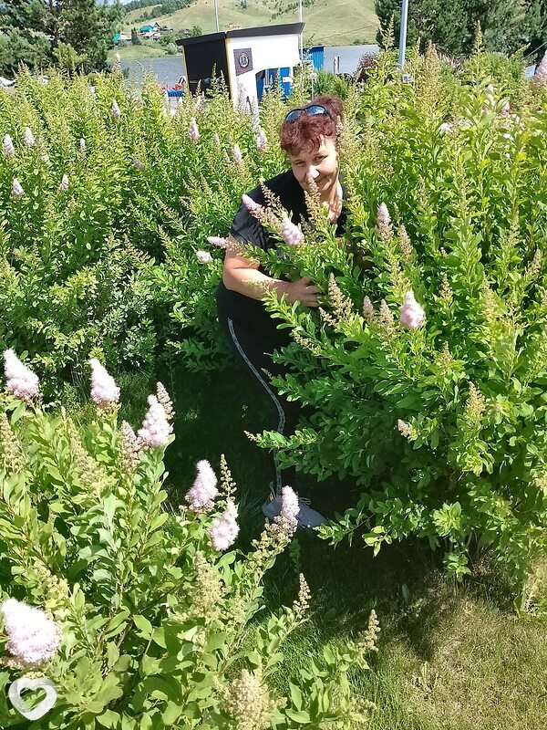 Наталья, 52, Ленинске-Кузнецком — анкета №2882623