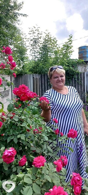 Елена, 53, Донецк (Ростовская Обл.) — анкета №2882906