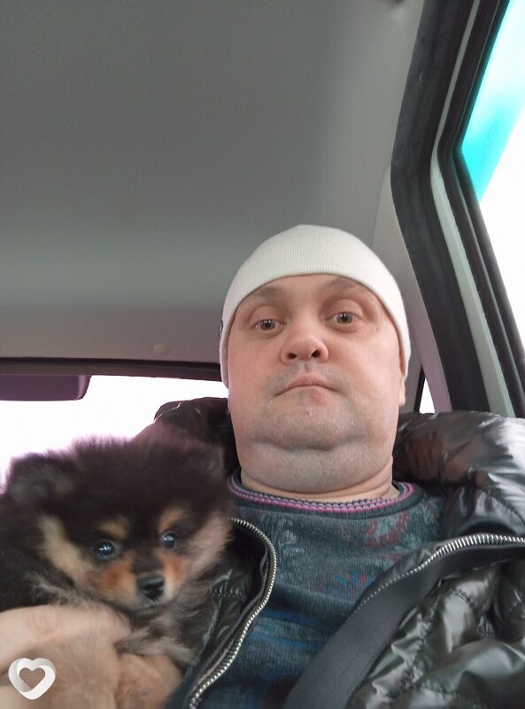 Дмитрий, 37, Туле — анкета №2883424