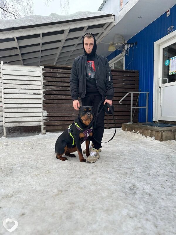Юрий, 27, Белгороде — анкета №2883849