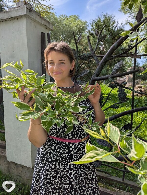 Юлия, 33, Владимире — анкета №2884825