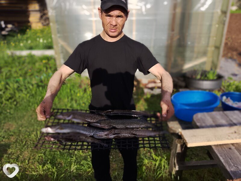 Алексей, Няндома