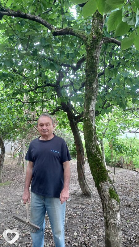 Виктор, 63, Сочи — анкета №2888615