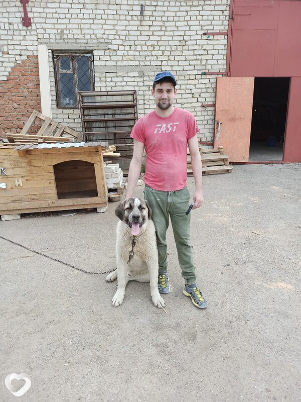 Иван, 33, Ставрополе — анкета №2889998