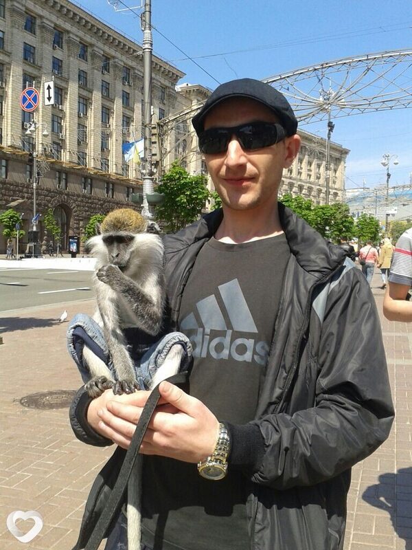 Ihor, Ополе