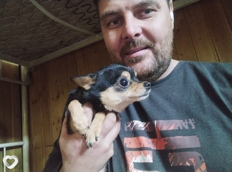 Алексей, 36, Новосибирске — анкета №2894951