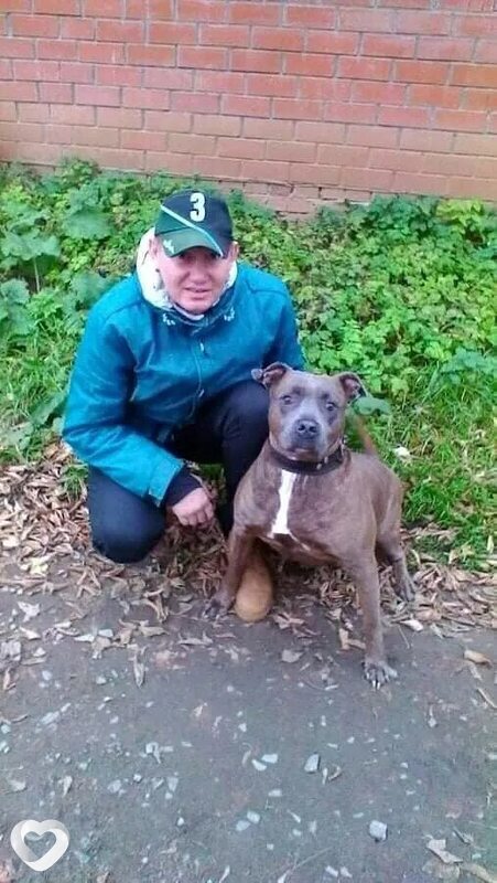 Сергей, 51, Клине — анкета №2902396