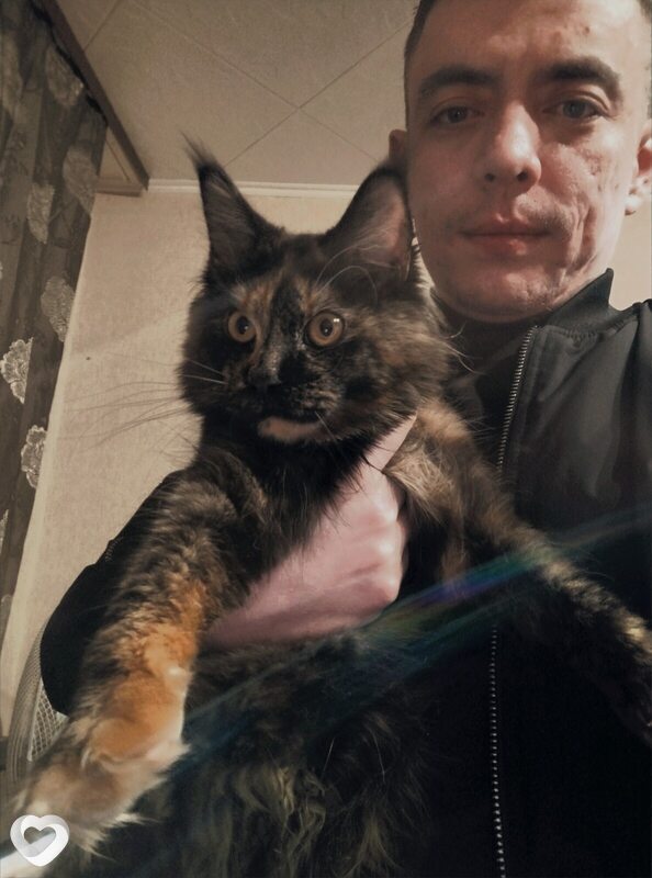 Владимир, 32, Екатеринбурге — анкета №2904698