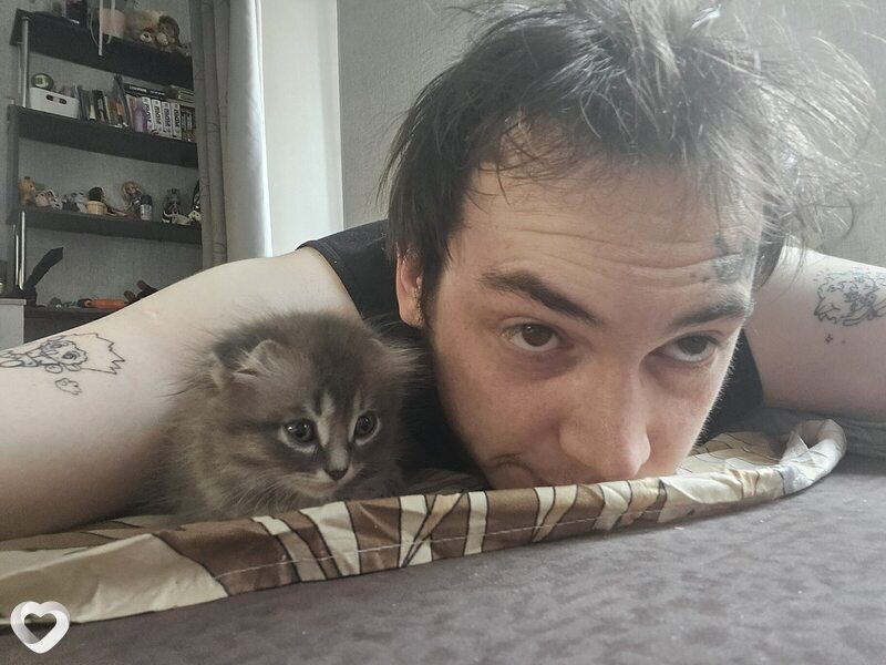 Даниил, 25, Тюмени — анкета №2906648