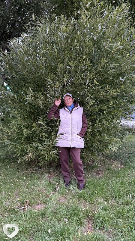 Татьяна, 68, Новосибирске — анкета №2907177