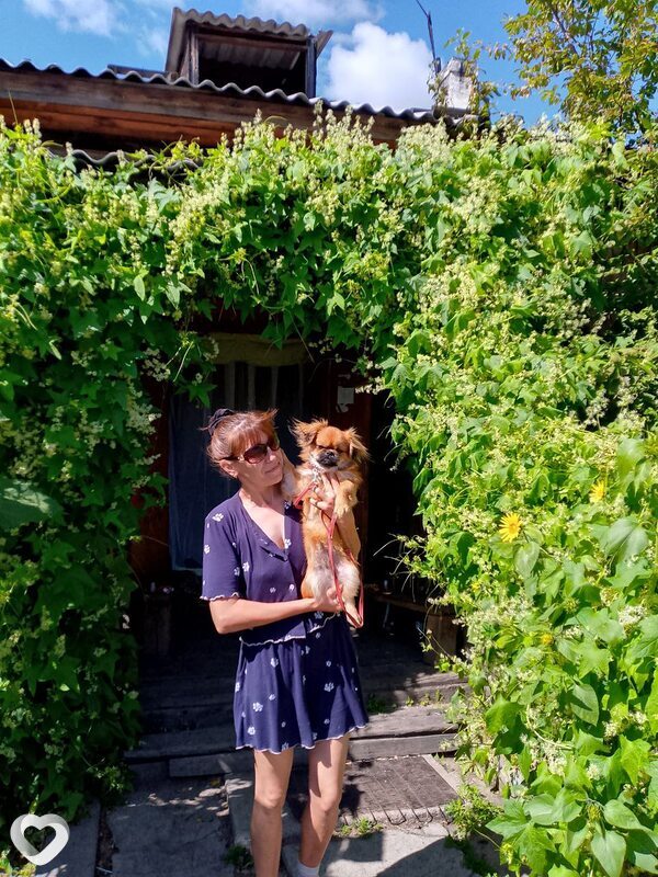 Светлана, 41, Улан-Удэ — анкета №2907424