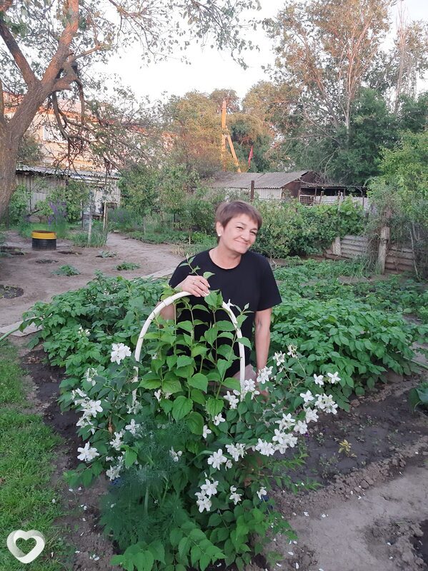 Ирина, Дивное