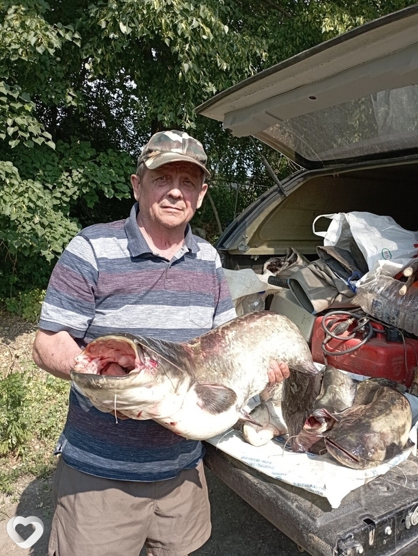 Михаил, 71, Кунгуре — анкета №2913295