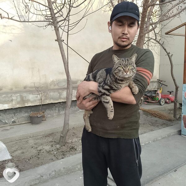 Толик, 33, Новосибирске — анкета №2918560