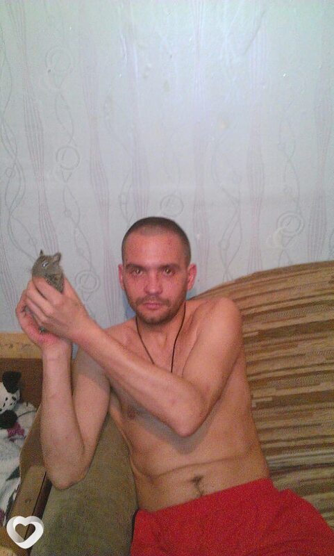Александр, 41, Димитровграде — анкета №2923350
