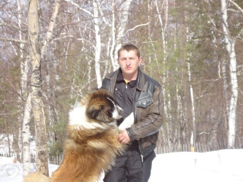 Дима, 39, Гомеле — анкета №2926206