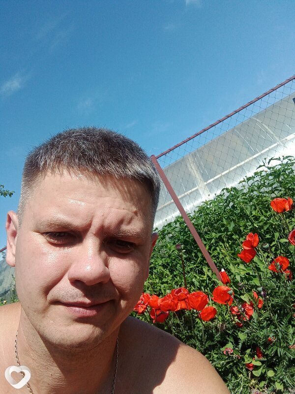 Александр, 38, Димитровграде — анкета №2930222