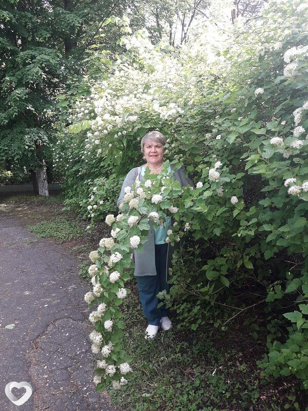 Роза, Люберцы
