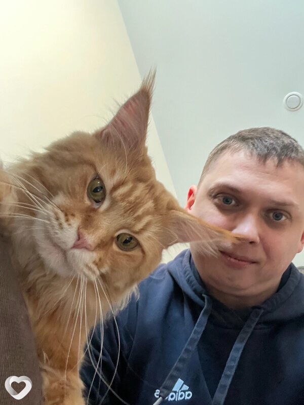 Данил, 35, Нижнем Новгороде — анкета №2935130