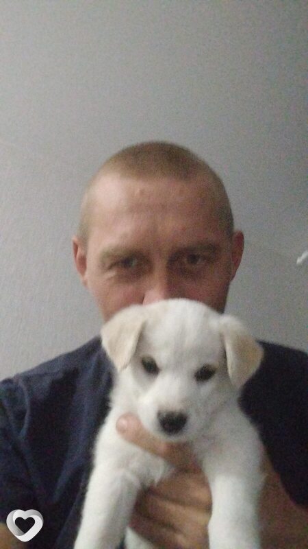 Алексей, 33, Новосибирске — анкета №2938073