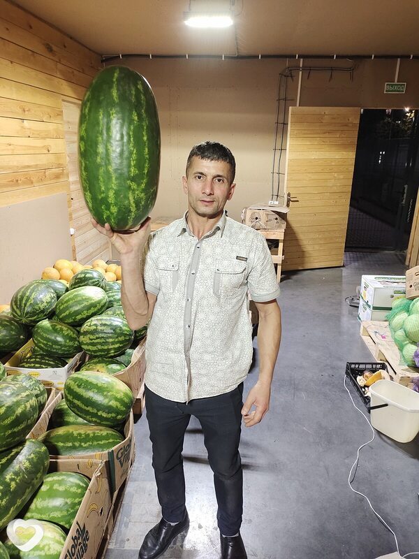 Азад, 26, Бобруйске — анкета №2940025
