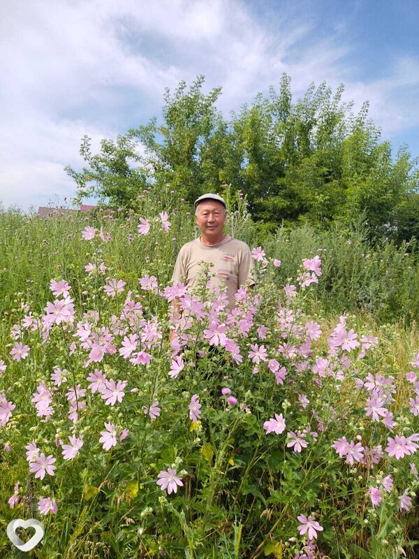 Владимир, 68, Иркутске — анкета №2951782