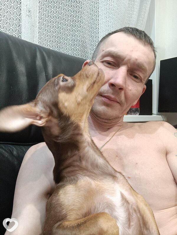 Серега, 42, Ижевске — анкета №2954196