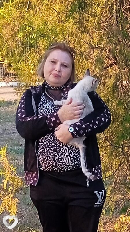 Елена, 43, Донецк (Ростовская Обл.) — анкета №2955713