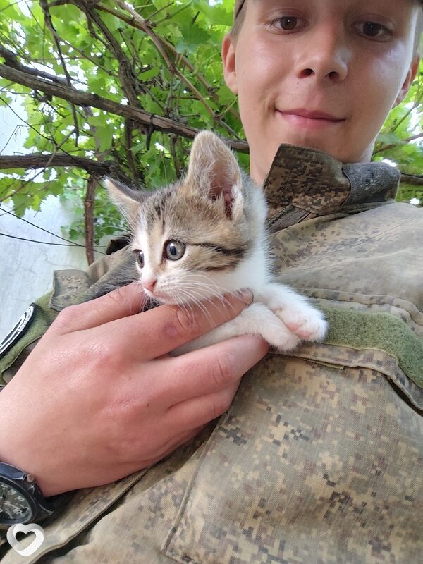 Владислав, 22, Череповце — анкета №2958661
