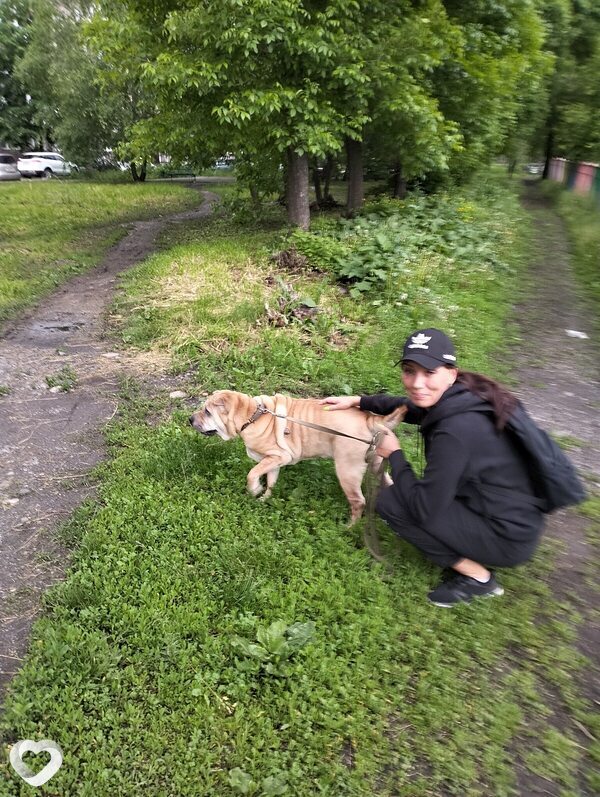 Соня, 39, Новокузнецке — анкета №2962058