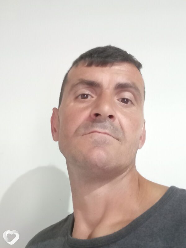 Daniel, Brașov