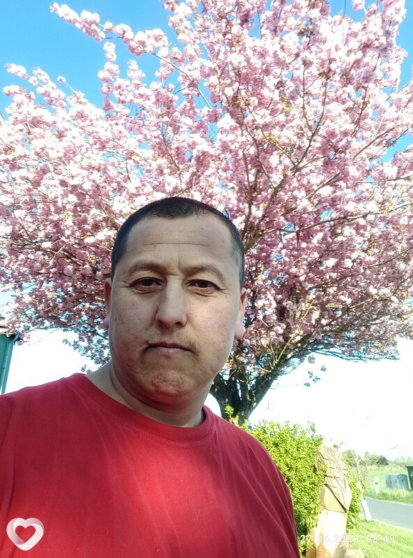 Бекзод, Бремен