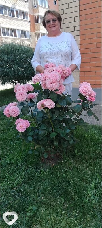 Милена, 61, Краснодаре — анкета №2972393