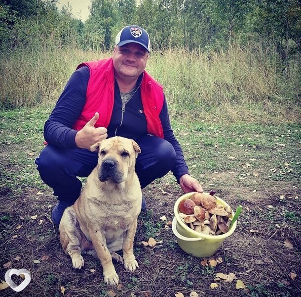 Евгений, 41, Ташкент — анкета №2978774