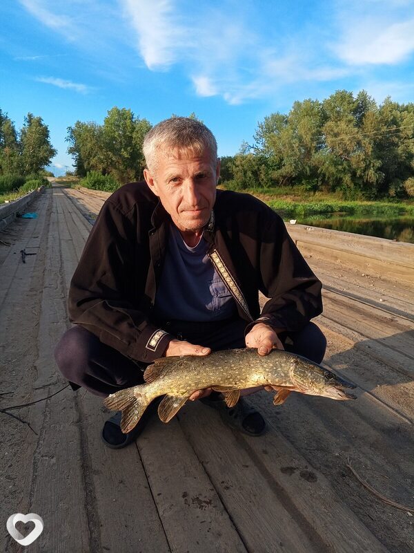Андрей, 52, Михайловка (Волгоградская Област — анкета №2981912
