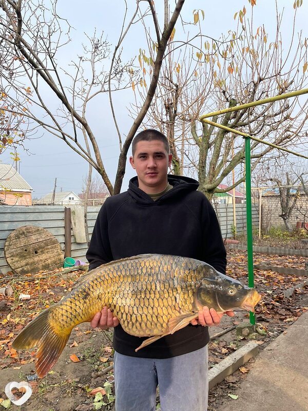 Николай, 33, Волгограде — анкета №2985379