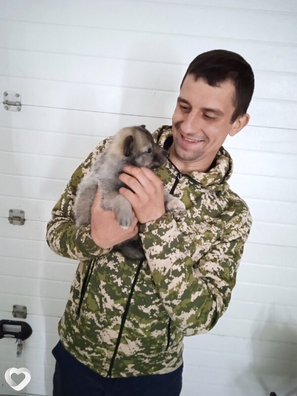 Константин, 33, Нижнем Тагиле — анкета №2986690